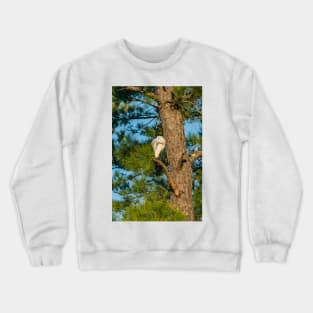 Grooming time 2 Crewneck Sweatshirt